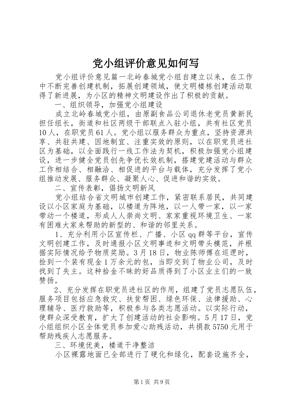 2024年党小组评价意见如何写_第1页