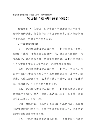 领导班子检视问题情况报告