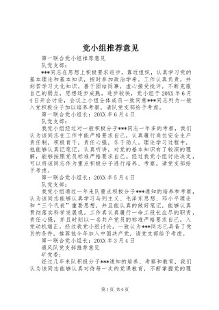 2024年党小组推荐意见