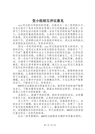 2024年党小组相互评议意见