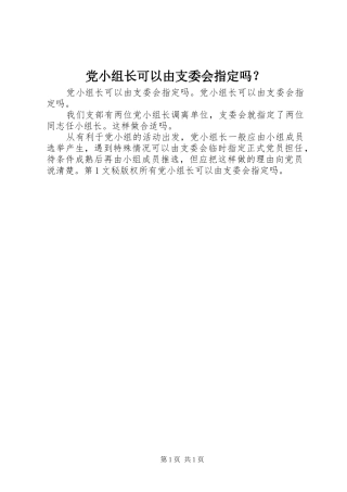 2024年党小组长可以由支委会指定吗
