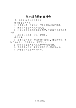 2024年党小组自检自查报告