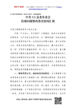 某县委常委会检视问题整改落实情况汇报
