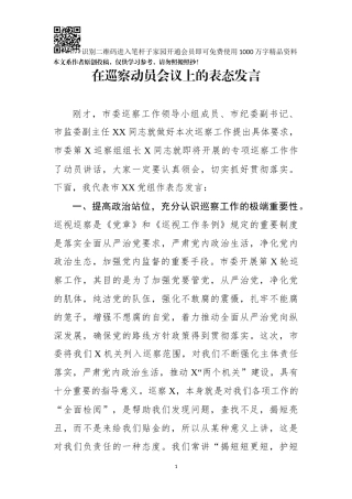在巡察动员会议上的表态发言