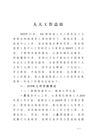 人大工作总结