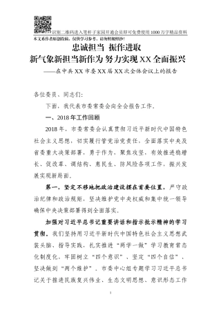 在某市委全体会议上的报告（范文）