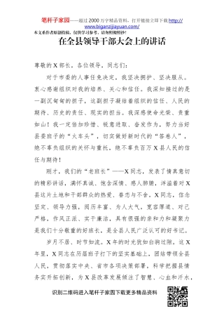 在全县领导干部大会上的讲话(0002)