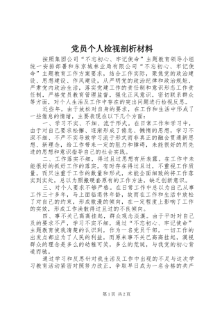 2024年党员个人检视剖析材料