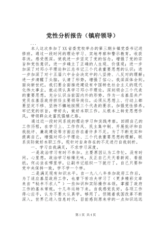 2024年党性分析报告镇府领导