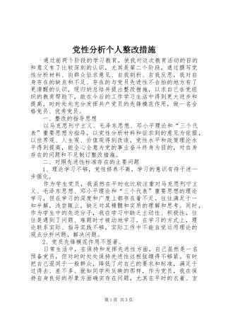 2024年党性分析个人整改措施