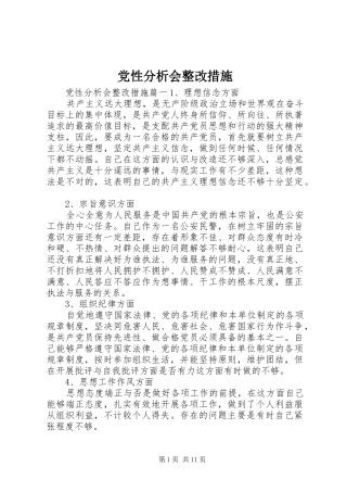 2024年党性分析会整改措施