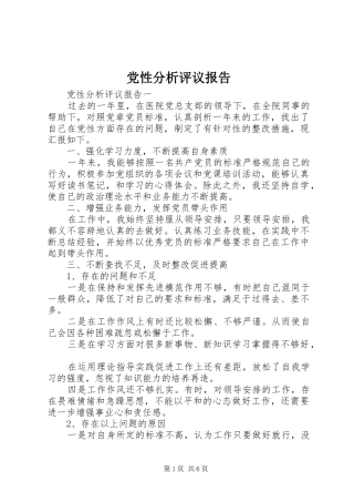2024年党性分析评议报告