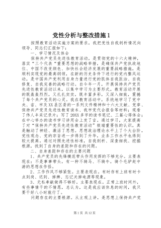 2024年党性分析与整改措施
