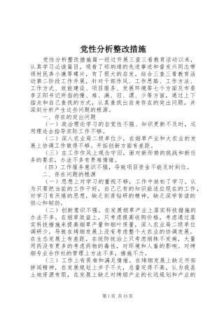 2024年党性分析整改措施
