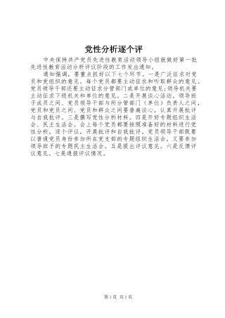 2024年党性分析逐个评