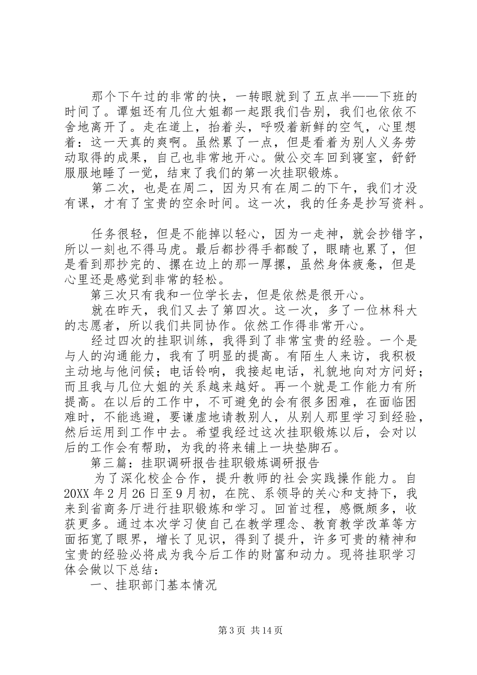 2024年党员挂职调研报告_第3页