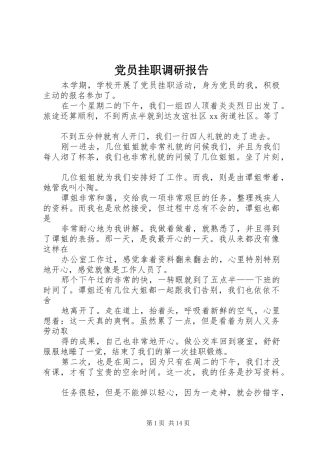 2024年党员挂职调研报告