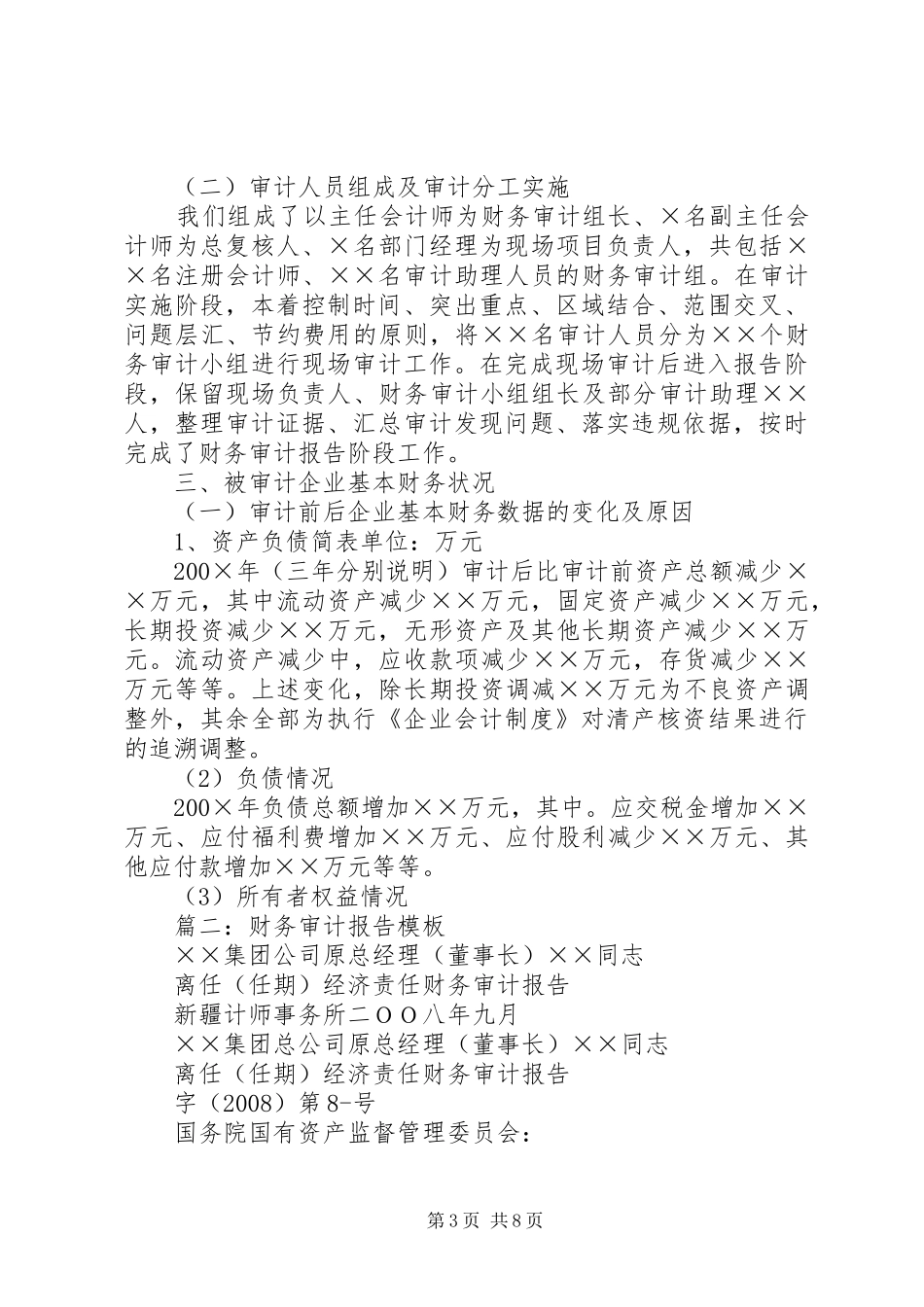 2024年财务审计报告的模板_第3页