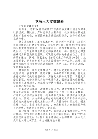 2024年党员出力支部出彩