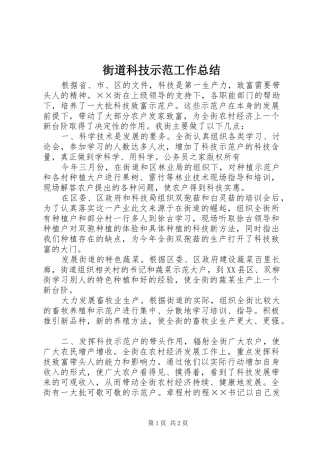 2024年街道科技示范工作总结