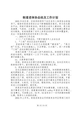 2024年街道老体协总结及工作计划