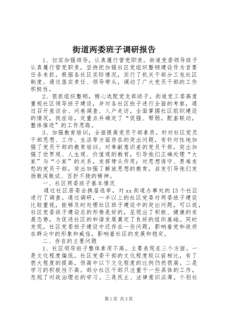 2024年街道两委班子调研报告