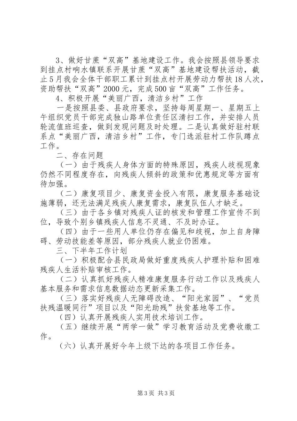 2024年残联上半年工作总结及下半年工作计划_第3页