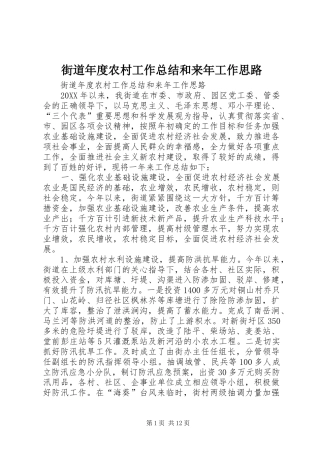 2024年街道年度农村工作总结和来年工作思路