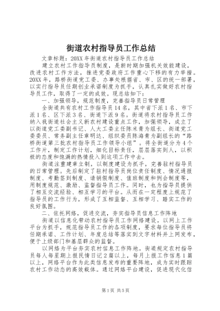 2024年街道农村指导员工作总结