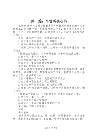 2024年车管所决心书