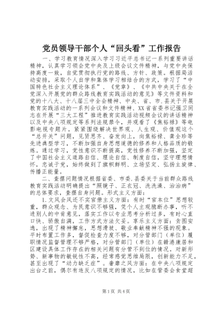 2024年党员领导干部个人回头看工作报告