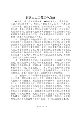 2024年街道人大工委工作总结