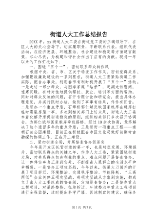 2024年街道人大工作总结报告