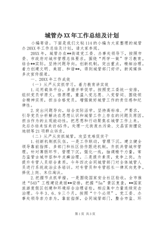 2024年城管办工作总结及计划