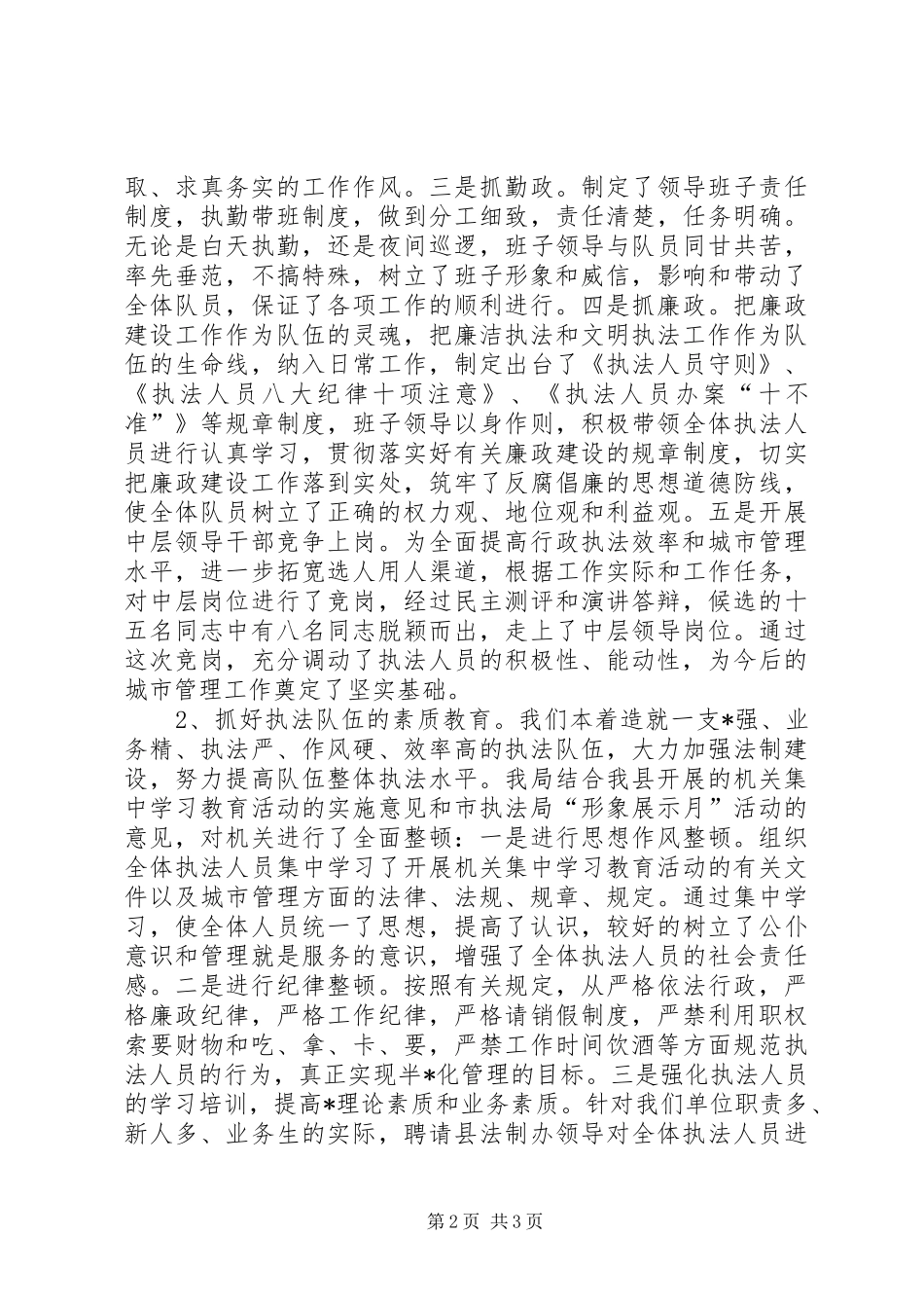 2024年城管底总结及工作计划_第2页