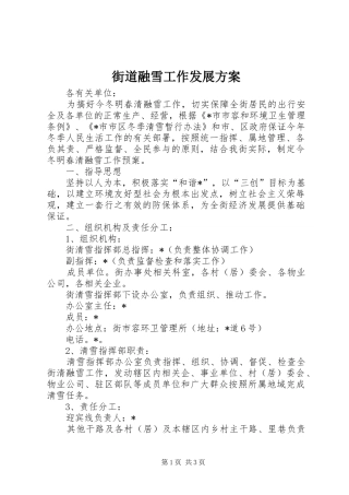 2024年街道融雪工作发展方案