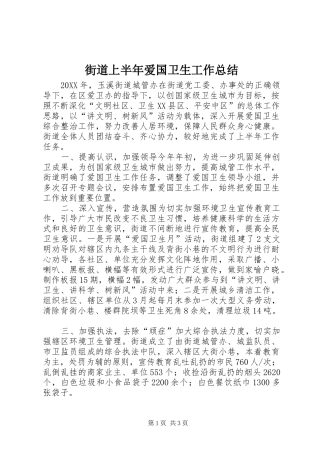 2024年街道上半年爱国卫生工作总结