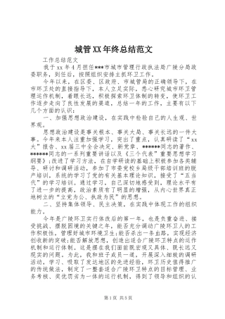 2024年城管终总结范文