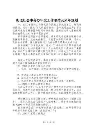 2024年街道社会事务办年度工作总结及来年规划