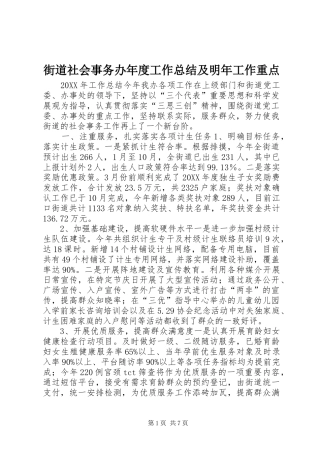 2024年街道社会事务办年度工作总结及明年工作重点