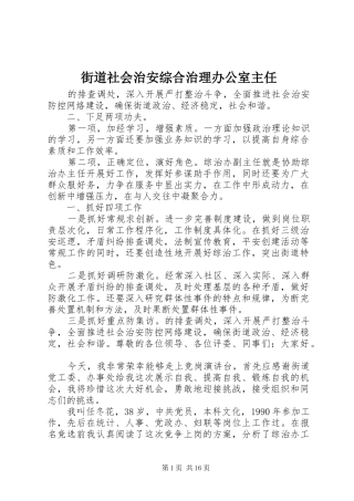 2024年街道社会治安综合治理办公室主任
