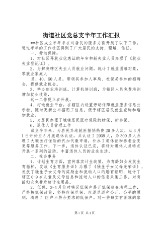 2024年街道社区党总支半年工作汇报