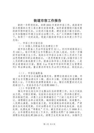 2024年街道市容工作报告