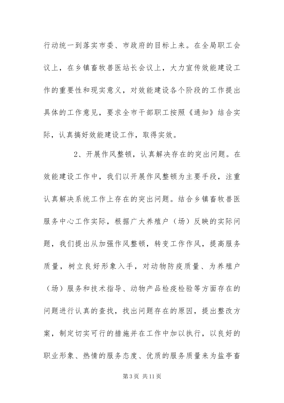 2024年畜牧兽医局机关效能建设工作总结_第3页