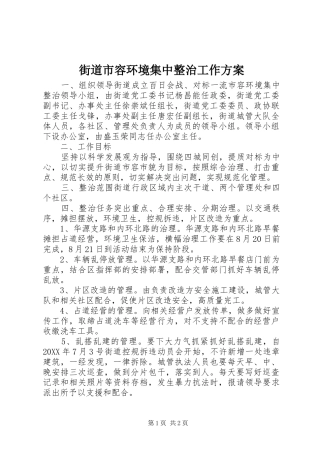 2024年街道市容环境集中整治工作方案