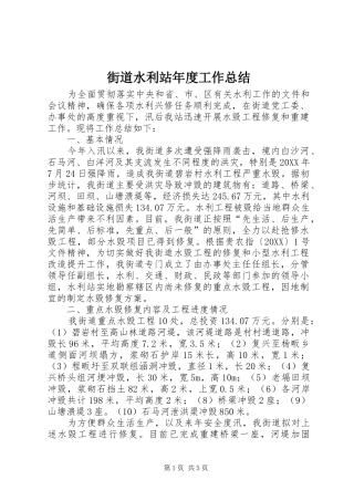 2024年街道水利站年度工作总结