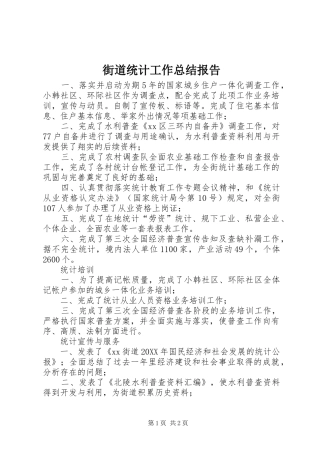 2024年街道统计工作总结报告