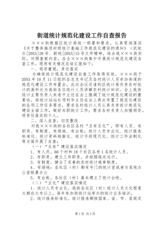 2024年街道统计规范化建设工作自查报告