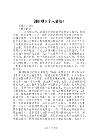 2024年创新项目个人总结