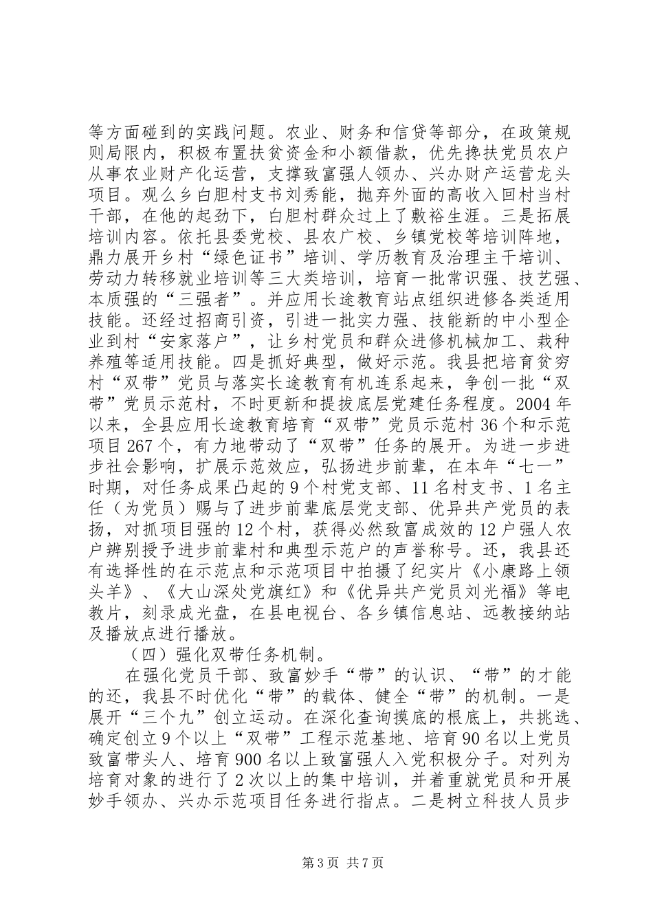 2024年党员双带能力培训经验交流_第3页